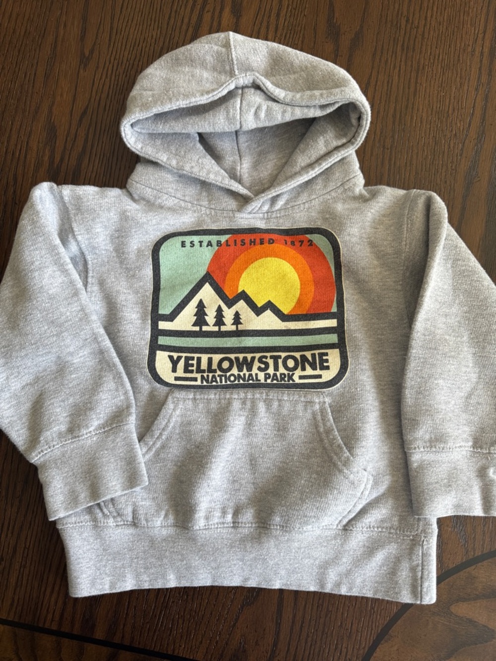 Yellowstone National Park Gray Kids Hoodie Sweatshirt